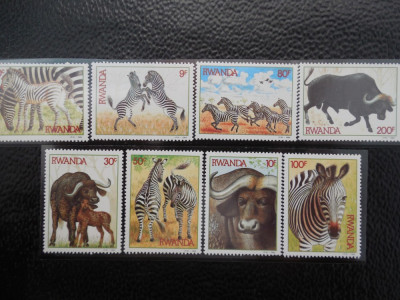 Serie timbre fauna animale zebre nestampilate Ruanda timbre filatelice postale foto