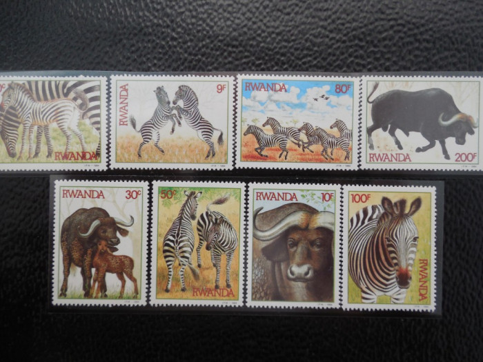 Serie timbre fauna animale zebre nestampilate Ruanda timbre filatelice postale