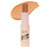 Concealer Stick Ushas #06