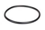 O-Ring Pompa Vacuum Oe Bmw 11667794767