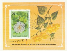 S.Tome e Princioe 1979-Flora,Flori,colita nedantelata,stampilata foto