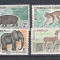 Cameroon 1962 Animals, MNH A.88