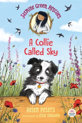 Jasmine Green Rescues: A Collie Called Sky foto