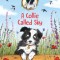 Jasmine Green Rescues: A Collie Called Sky