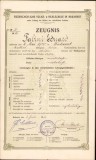 A931 Erzbisch&ouml;fliche Volks- und Realschule in Bukarest, 1914, certificat școlar