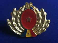 Insigna militara - Garzi Patriotice - Romania - Garzi Patriotice - GP - 1970 foto
