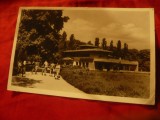 Ilustrata Bucuresti - Gradina Botanica 1953