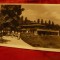 Ilustrata Bucuresti - Gradina Botanica 1953