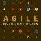 Agile Practice Guide (German)
