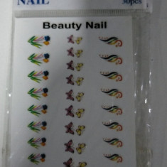 Tatuaj unghii Beauty Nail pe baza de apa - 30 desene