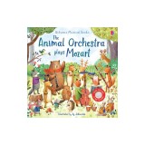 Animal Orchestra Plays Mozart