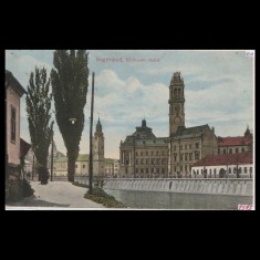 Carte poștală veche Oradea &ndash; Malul Crisului cu Primaria &ndash; 1913
