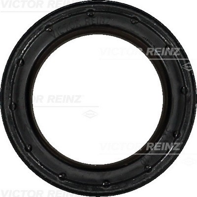 VICTOR REINZ 81-40538-00 Simering, ax cu came