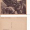 Romania -Frontul de pe Siret - tipuri, artilerie- militara WWI, WK1