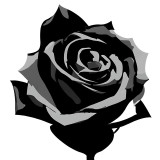 Sticker decorativ, Trandafir, Negru, 66 cm, 8226ST
