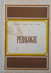 PEDAGOGIE-A. DANCSULY, M. IONESCU, I. RADU, D. SALADE foto