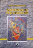 INCURSIUNI IN CREATOLOGIE-ANCA MUNTEANU