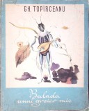 BALADA UNUI GREIER MIC. ILUSTRATII DE GEORGE IUSTER-GEORGE TOPARCEANU-348277