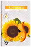 Set 6 pastile lumanari parfumate bispol - sunflowers