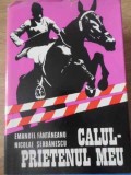 CALUL - PRIETENUL MEU-EMANUEL FANTANEANU, NICOLAE SERBANESCU-116574
