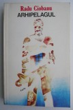 Cumpara ieftin Arhipelagul - Radu Ciobanu - Roman - Carte beletristica