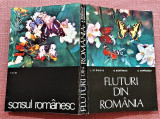 Fluturi din Romania - I. Stanoiu, B. Bo&icirc;rnac, S. Copacescu, 1979, Alta editura
