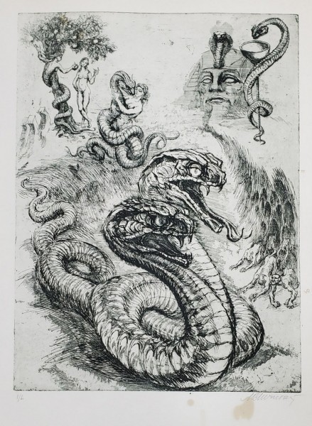 Marcel Chirnoaga (1930-2008) - Sarpele