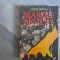 Marele sigiliu vol.1 de Viorel Stirbu