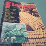 REVISTA FLACARA 6 SEPTEMBRIE 1975