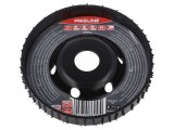 Grinding Wheel 120mm with Rasp