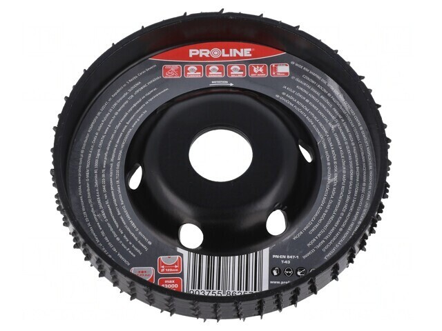 Grinding Wheel 120mm with Rasp