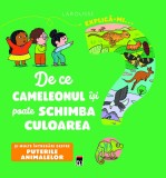Explica-mi... de ce cameleonul isi poate schimba culoarea? - RAO