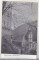 Foto  - 1