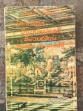 Vintila Corbul-Dinastia Sunderland