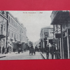 Iasi Strada Lapusneanu Trasura Carriage