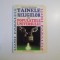 TAINELE RELIGIILOR SI POPULATIILE UNIVERSULUI de CRISTIAN NEGUREANU , 1995