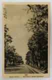 IASI , STRADA CAROL I , FOTOGRAFIE FORMAT CARTE POSTALA , INTERBELICA