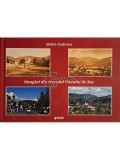 Stefan Andreica - Imagini din trecutul Viseului de Sus (Editia: 2016)