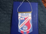 Fanion CS Tirgoviste