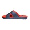 icon 5