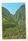 RF154 - Carte Postala - Muntii Apuseni. Cheile Turzii, necirculata