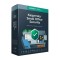 Antivirus Companie Spaniol Kaspersky KL4541X5EFS-20ES
