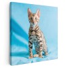 Tablou pisica bengaleza Tablou canvas pe panza CU RAMA 60x60 cm