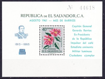 DB1 Flora Flori 1961 Salvador SS MNH foto