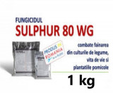 Fungicid Sulphur 80 WG 1 kg, Agrostulln