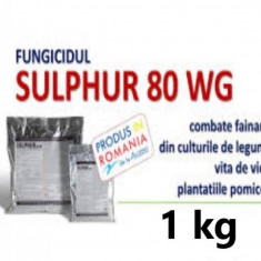 Fungicid Sulphur 80 WG 1 kg