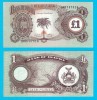 Bancnota Biafra 1 Pound 1969, Stat Secesionist, Serie DM0747816, UNC, Africa