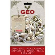 Seminte de Germinare Bio Fasole Mung Geo 90gr Cod: zfn0203 foto