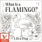 What Is a Flamingo?
