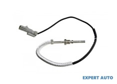 Senzor temperatura gaze dpf Jeep Compass (2006-&gt;)[MK49] #1